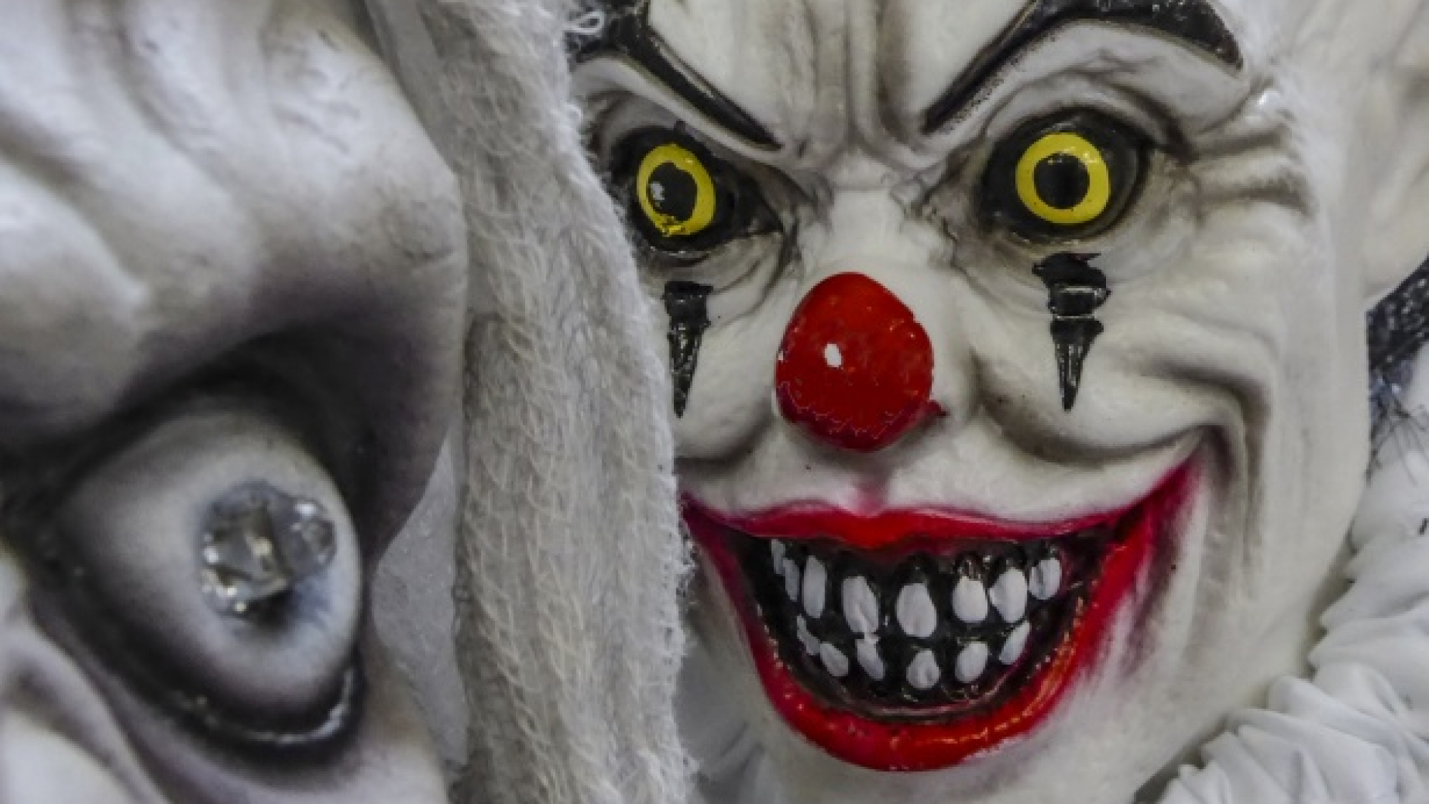 5dba067faa323f52e4a6e48a_bann ahallo