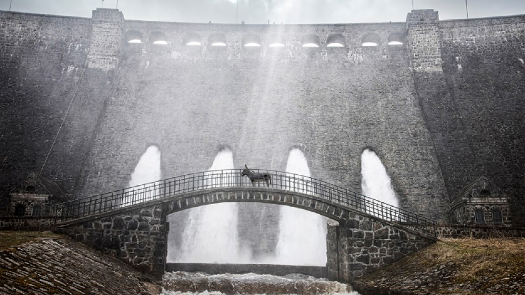 MV5BZDkyYTZkNmYtOGI4MS00NDg4LWI5MjYtNDFmYTllMDY3ZmViXkEy_002