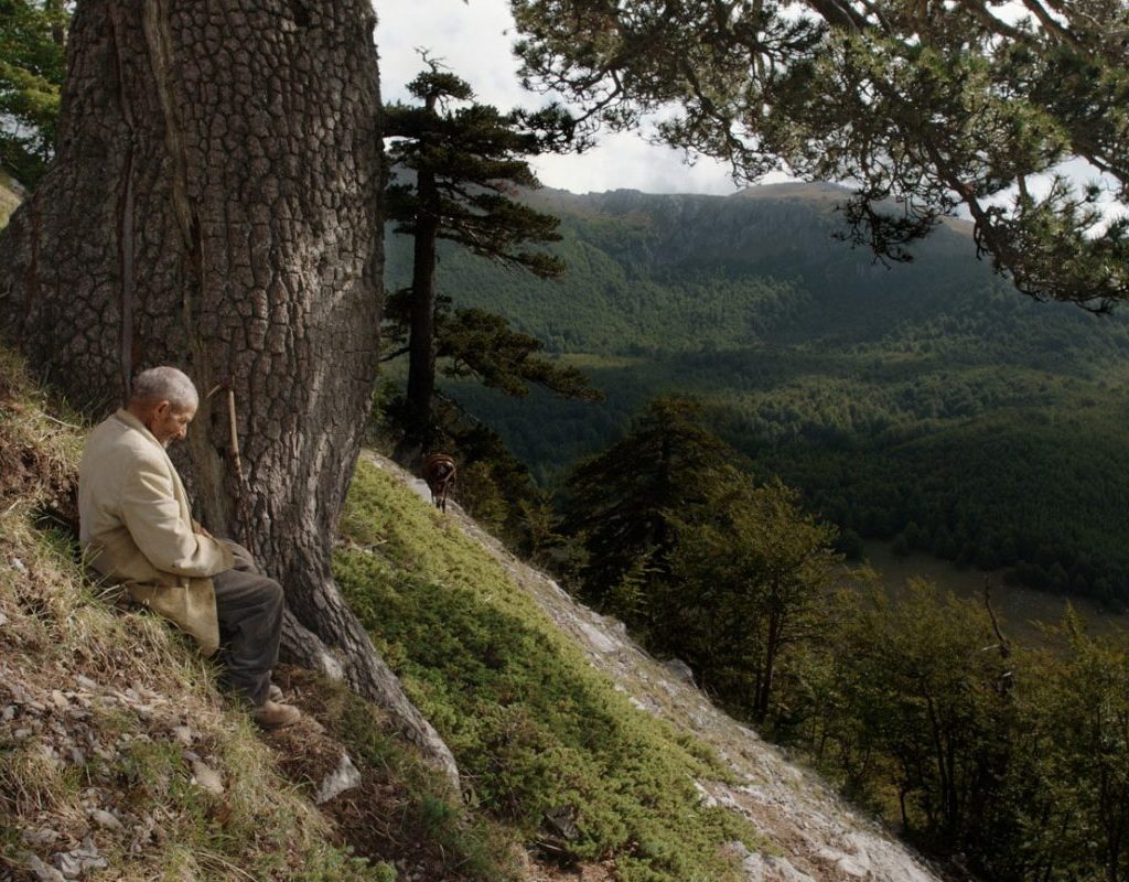 Le vieil homme, assis sur une colline observant le panorama et son âne paissant non loin
