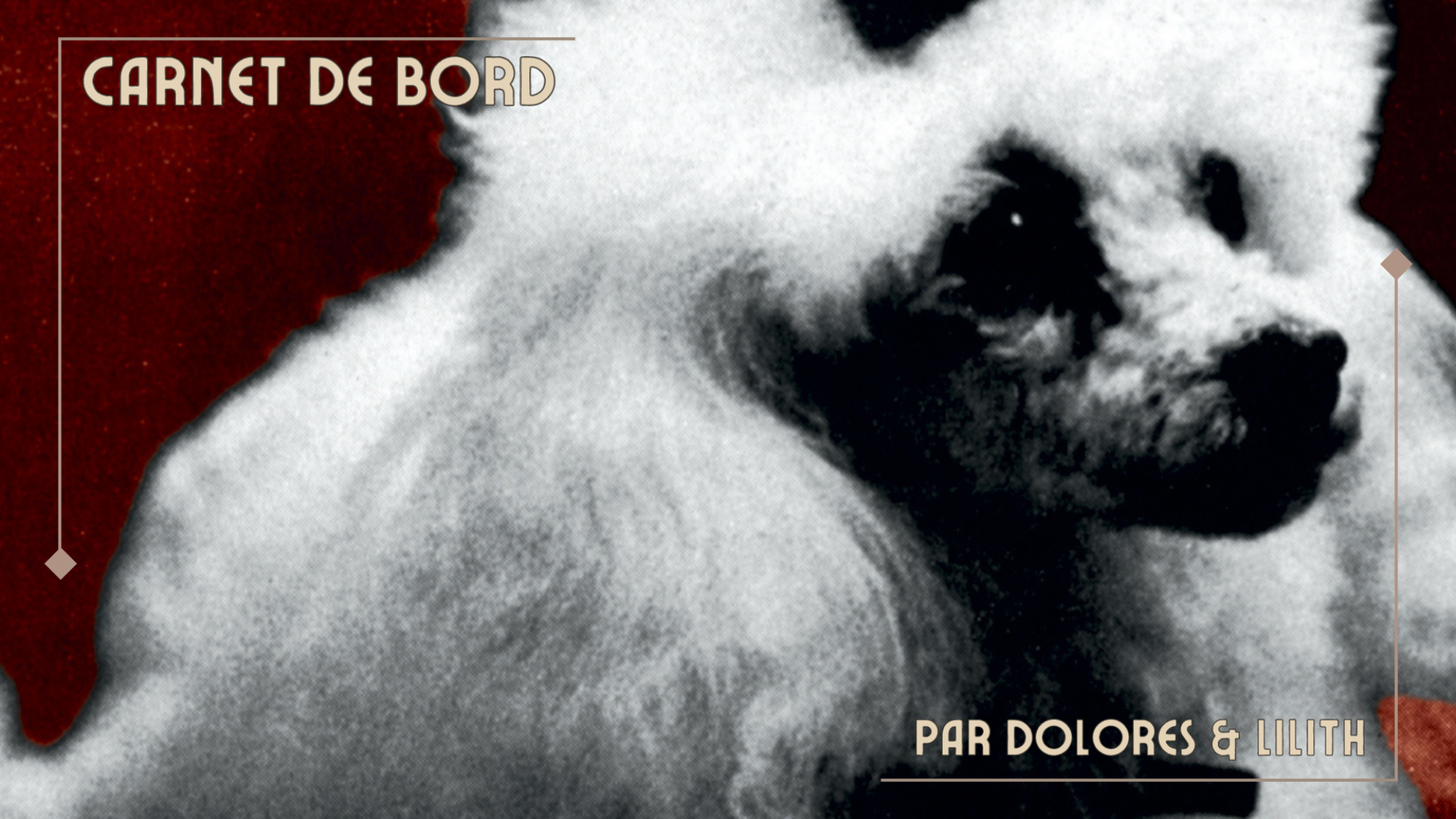 Le Caniche, emblème du Festival pour cette année 2023