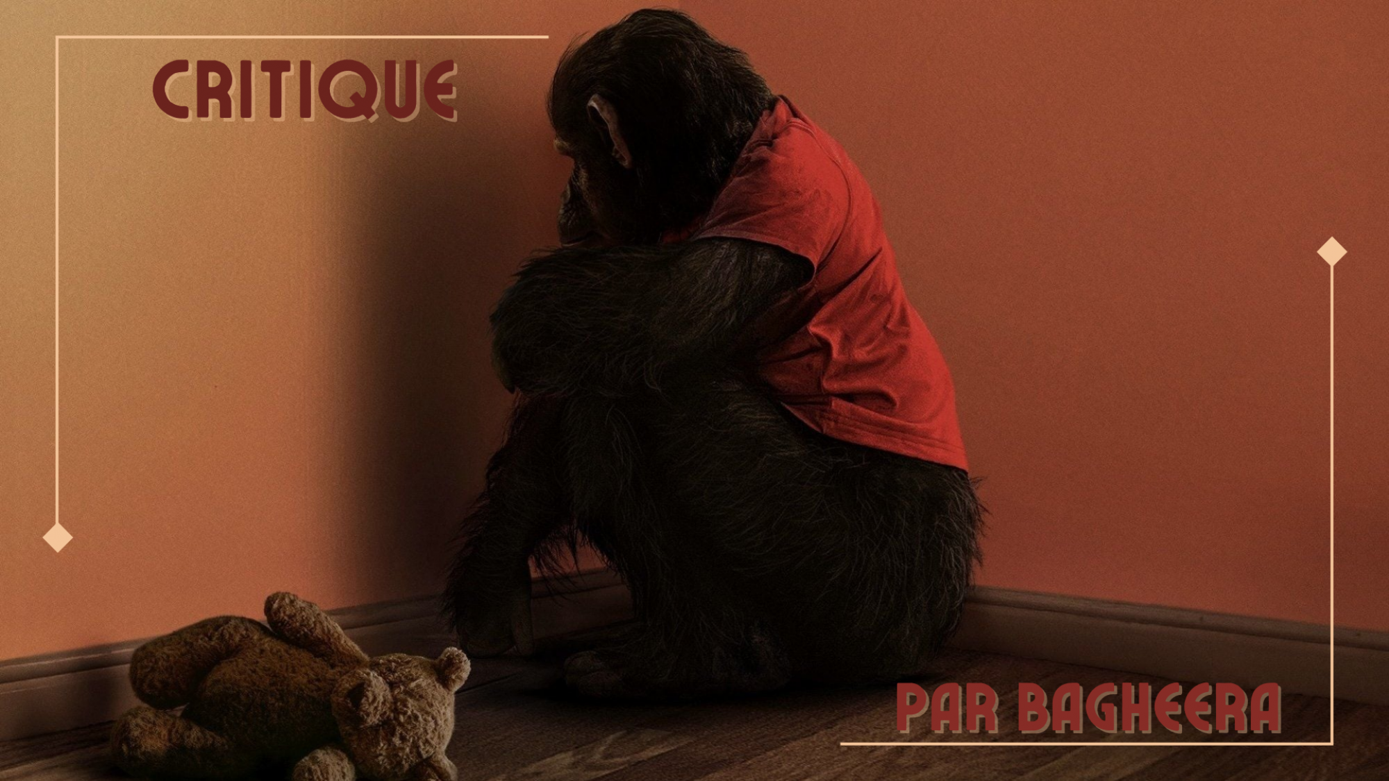 bann_primate
